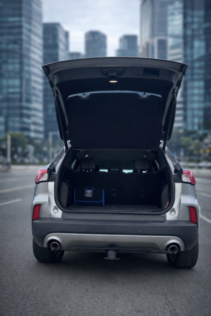 Ford Escape 2021 Gris Cota