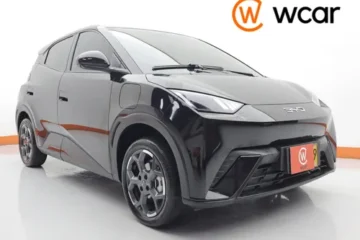 Byd Seagull 380/400 Gs At 55kw 4x2