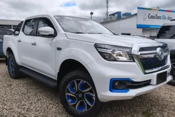 Dfsk/dfm/dfzl Rich 6 Ev