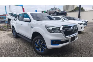 Dfsk/dfm/dfzl Rich 6 Ev At 120kw