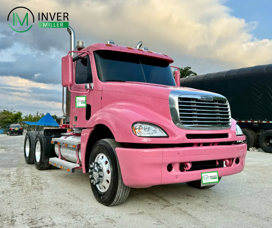 Freightliner Columbia 2015 Rosa Ibagué