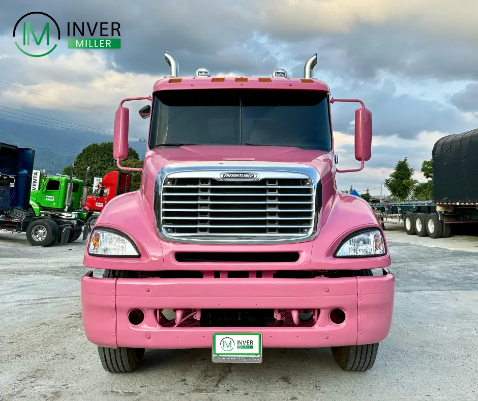 Freightliner Columbia 2015 Rosa Ibagué
