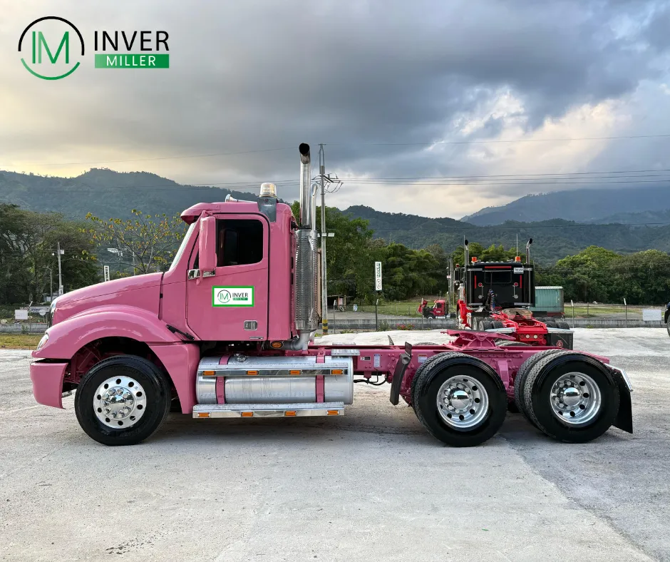Freightliner Columbia 2015 Rosa Ibagué