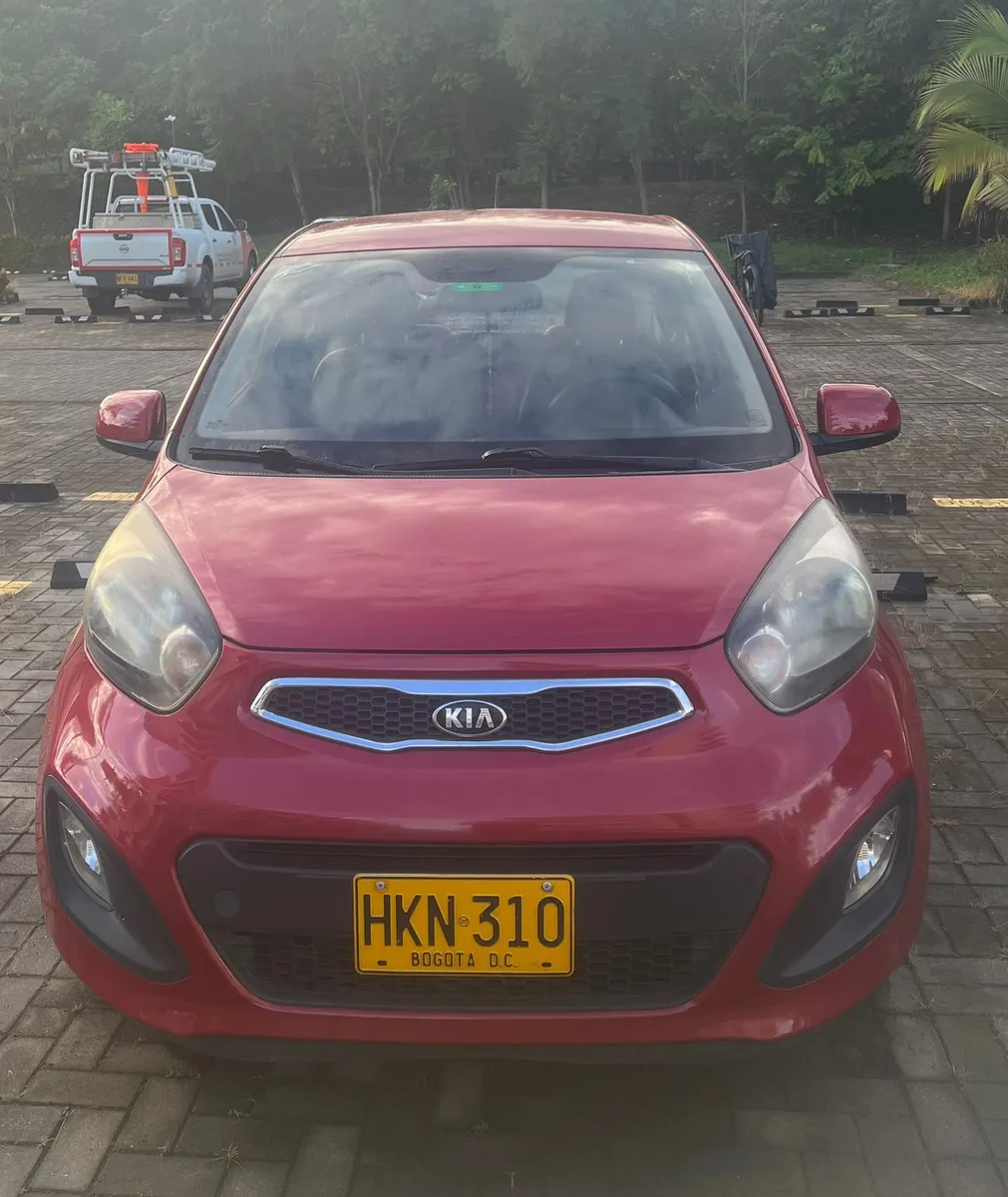 Kia Picanto Ion 2014 Rojo Melgar