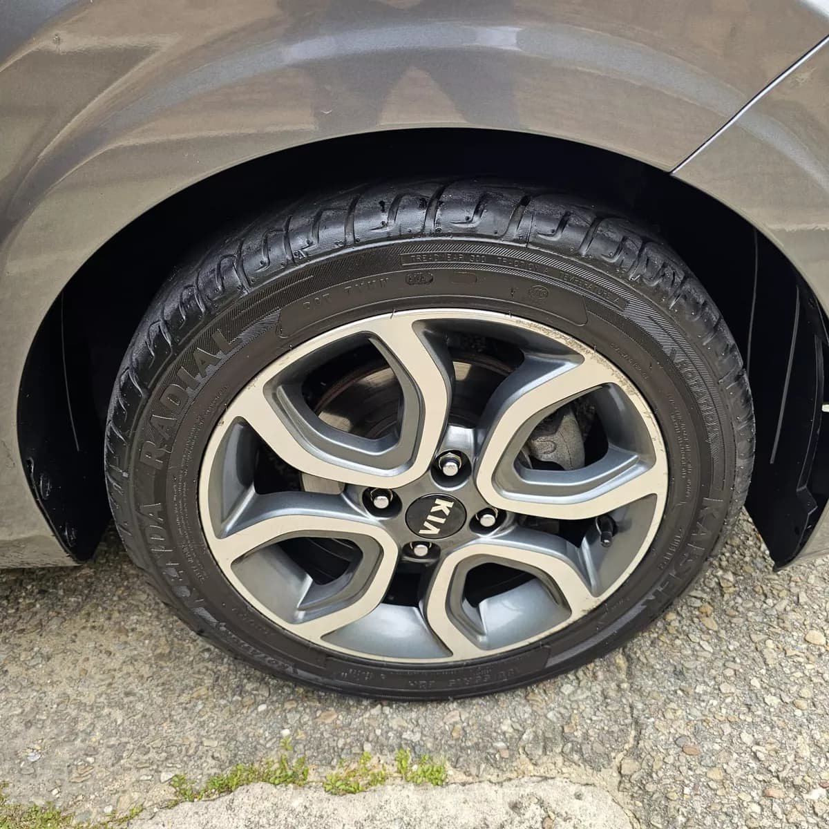 Kia Picanto Zenith Gris 1.2 modelo 2022
