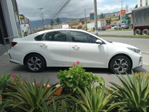 Kia Vivro 2022 Blanco Pasto