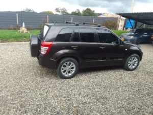 Suzuki 2016 Negro La Calera