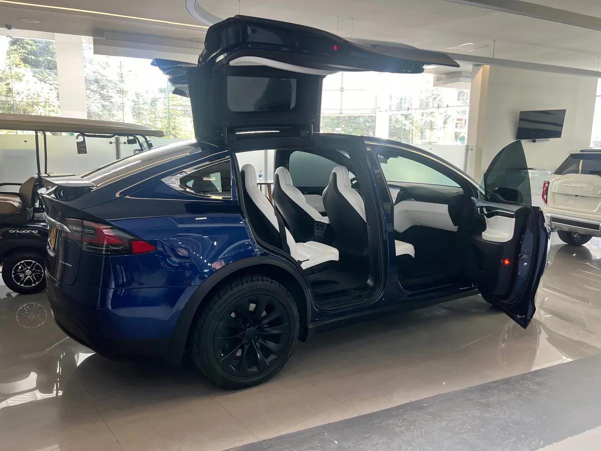 Tesla Model X Performance 2019 Azul