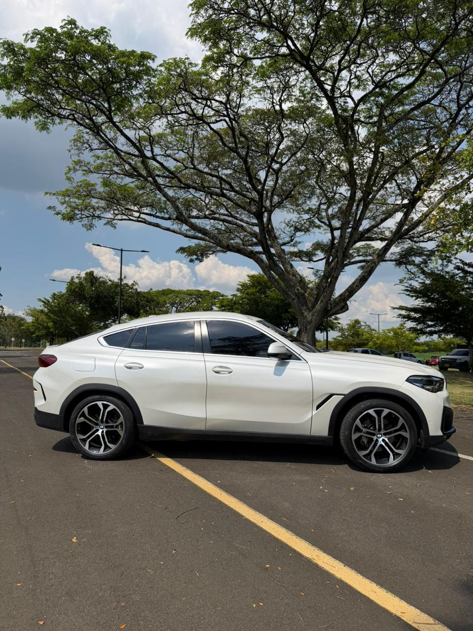 BMW X6 2020 Blanco Cali