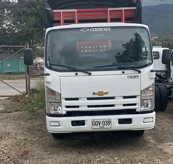 camión Chevrolet Isuzu Nqr Reward 2025 blanco8